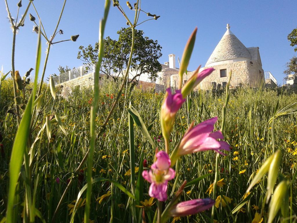 Cappelluzzo Villa Cisternino Buitenkant foto